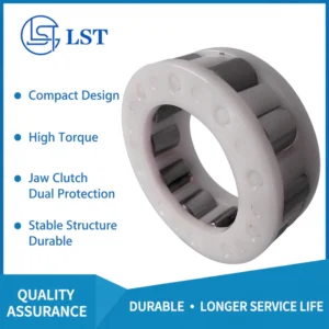 Precision Overrunning and Indexing Sprag Clutch for Textile Machinery: DC304817-FF30